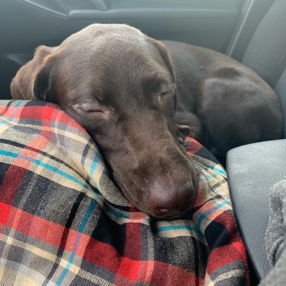 Meet your Posher, Terri - Picture 1 of 1